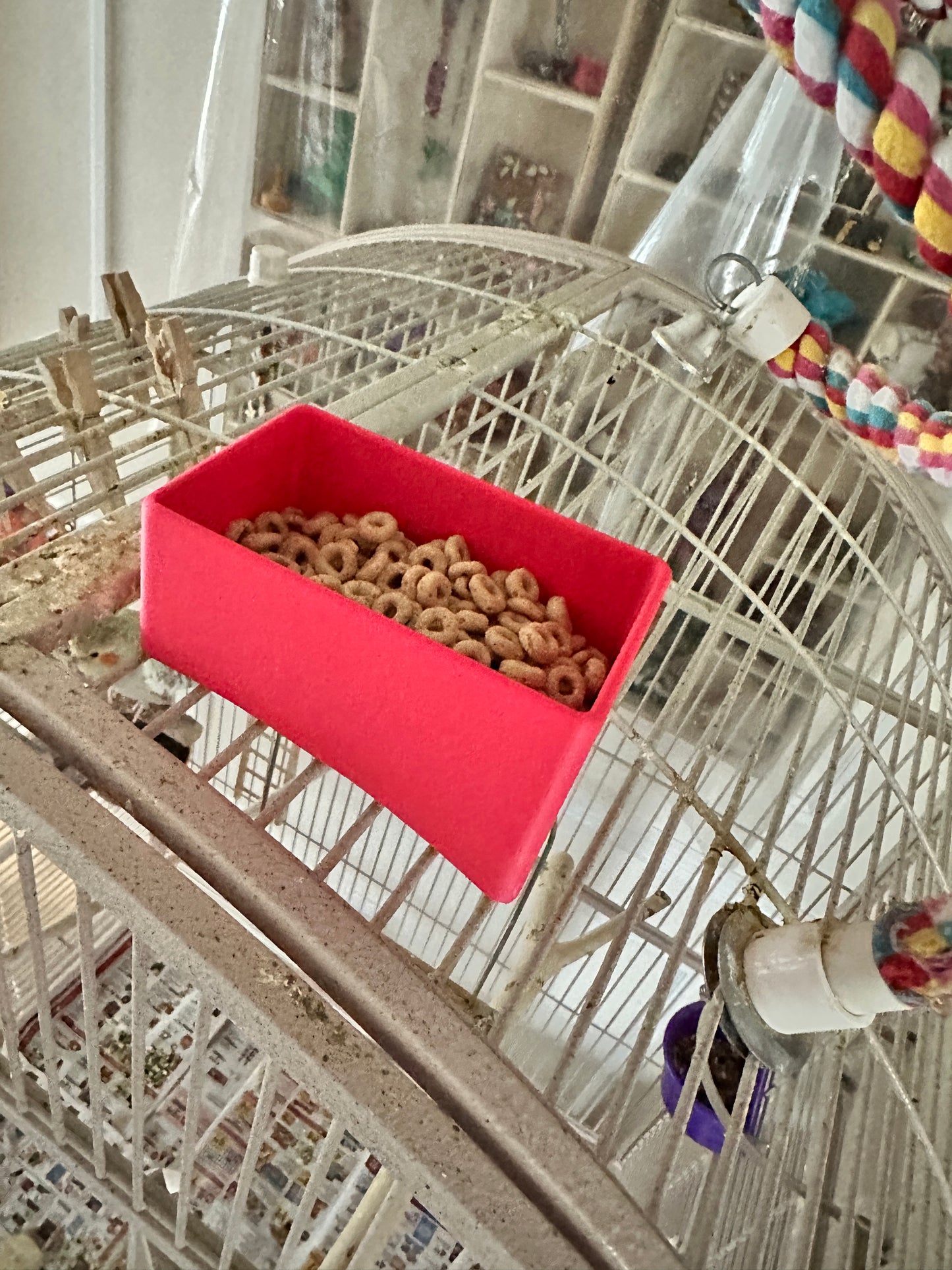 Bird treat dish for curved top cage