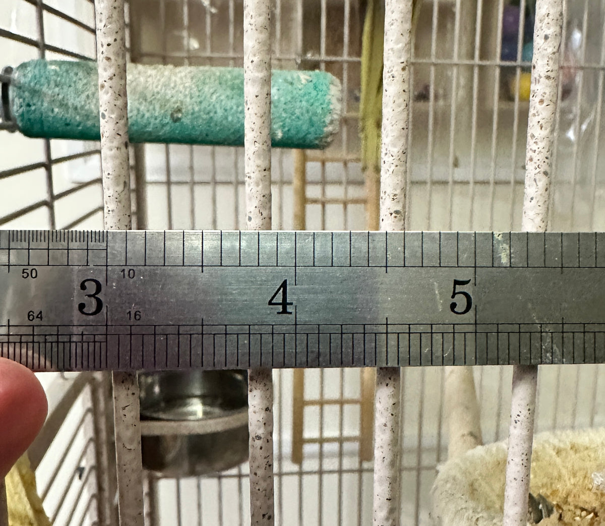 Bird treat dish for curved top cage